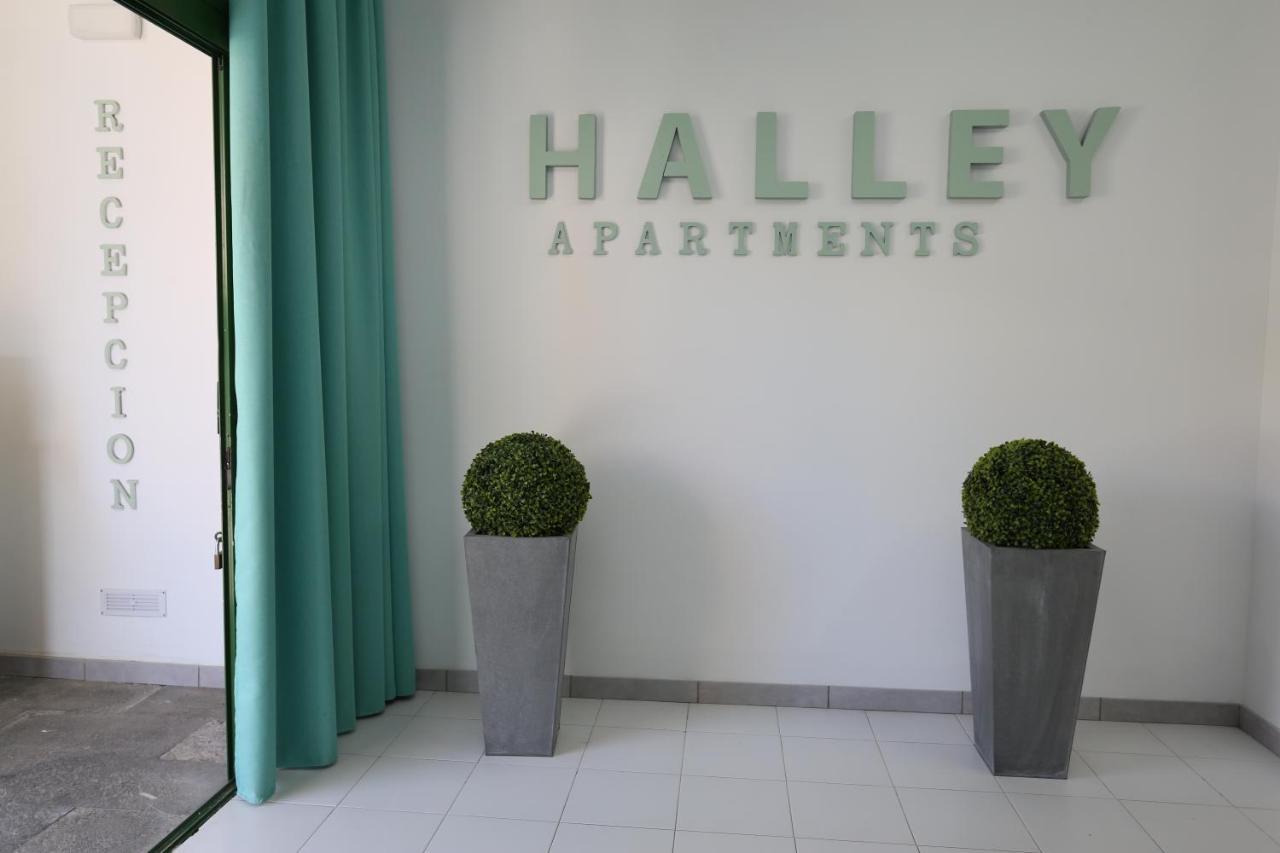 Halley Rooms Mogán Exterior foto